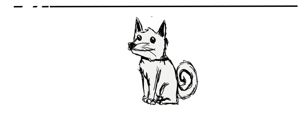 כלב 101 – חיסונים וטיפולים שנתיים