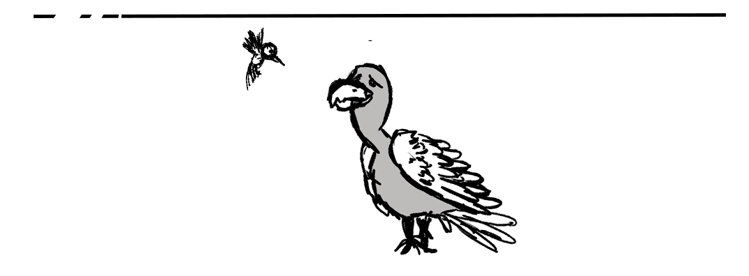 ציפורי ישראל – נשר