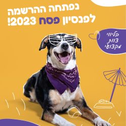 פוסטר פנסיון לחוות כלבים כאלבו במסגרת לימודי מיתוג ועיצוב גרפי